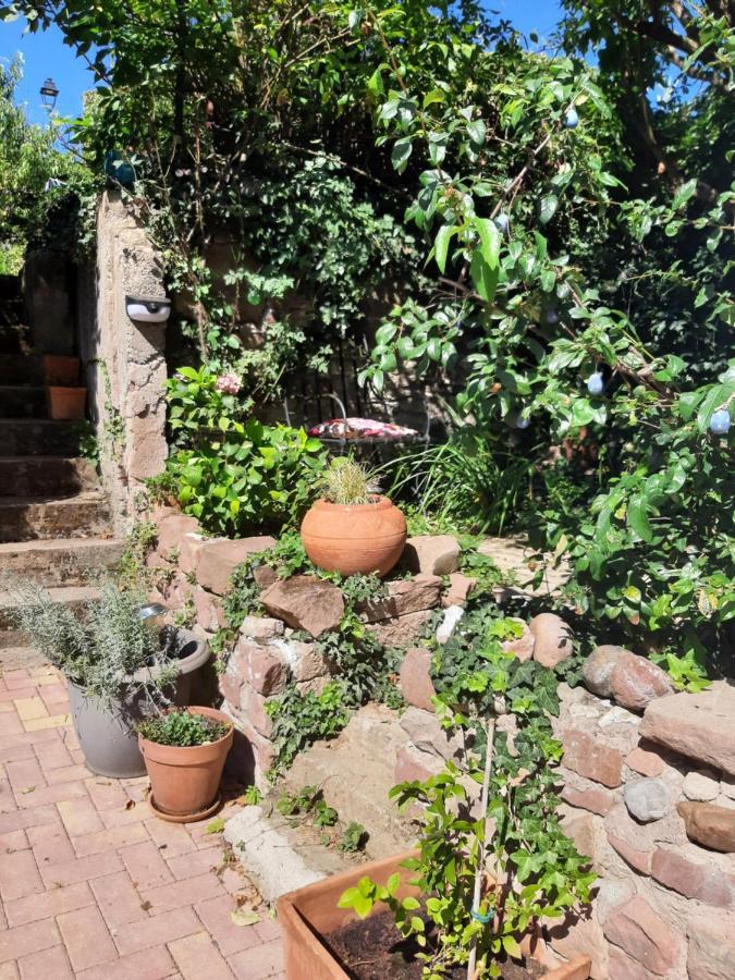Studio Tout Confort 2 Personnes Au Coeur De L'Alsace Wolxheim Exterior foto