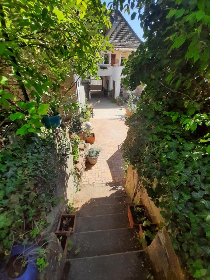 Studio Tout Confort 2 Personnes Au Coeur De L'Alsace Wolxheim Exterior foto