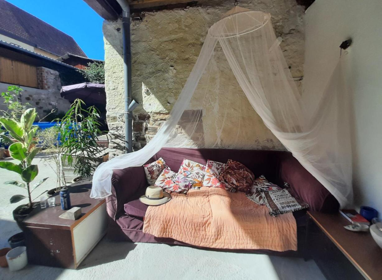 Studio Tout Confort 2 Personnes Au Coeur De L'Alsace Wolxheim Exterior foto