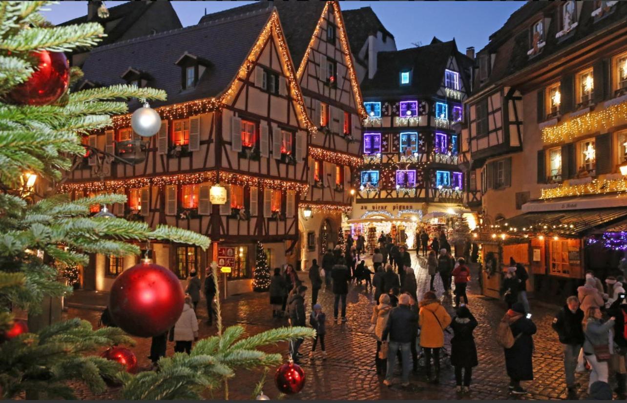 Studio Tout Confort 2 Personnes Au Coeur De L'Alsace Wolxheim Exterior foto