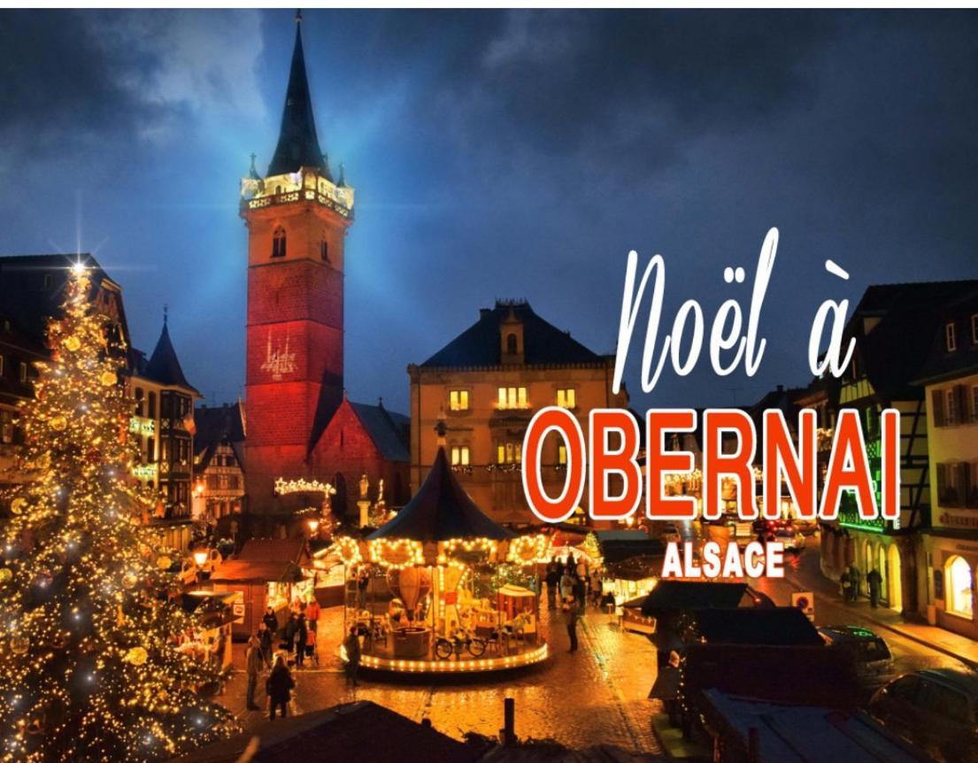 Studio Tout Confort 2 Personnes Au Coeur De L'Alsace Wolxheim Exterior foto