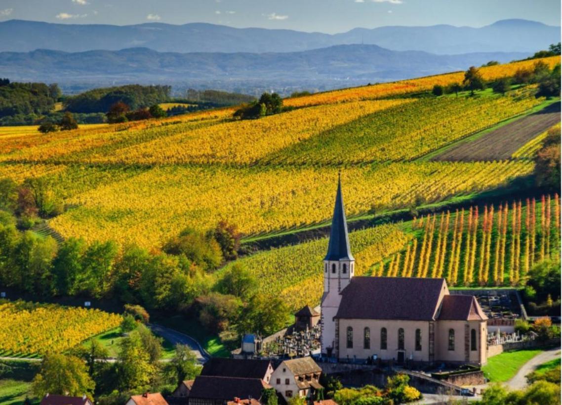 Studio Tout Confort 2 Personnes Au Coeur De L'Alsace Wolxheim Exterior foto
