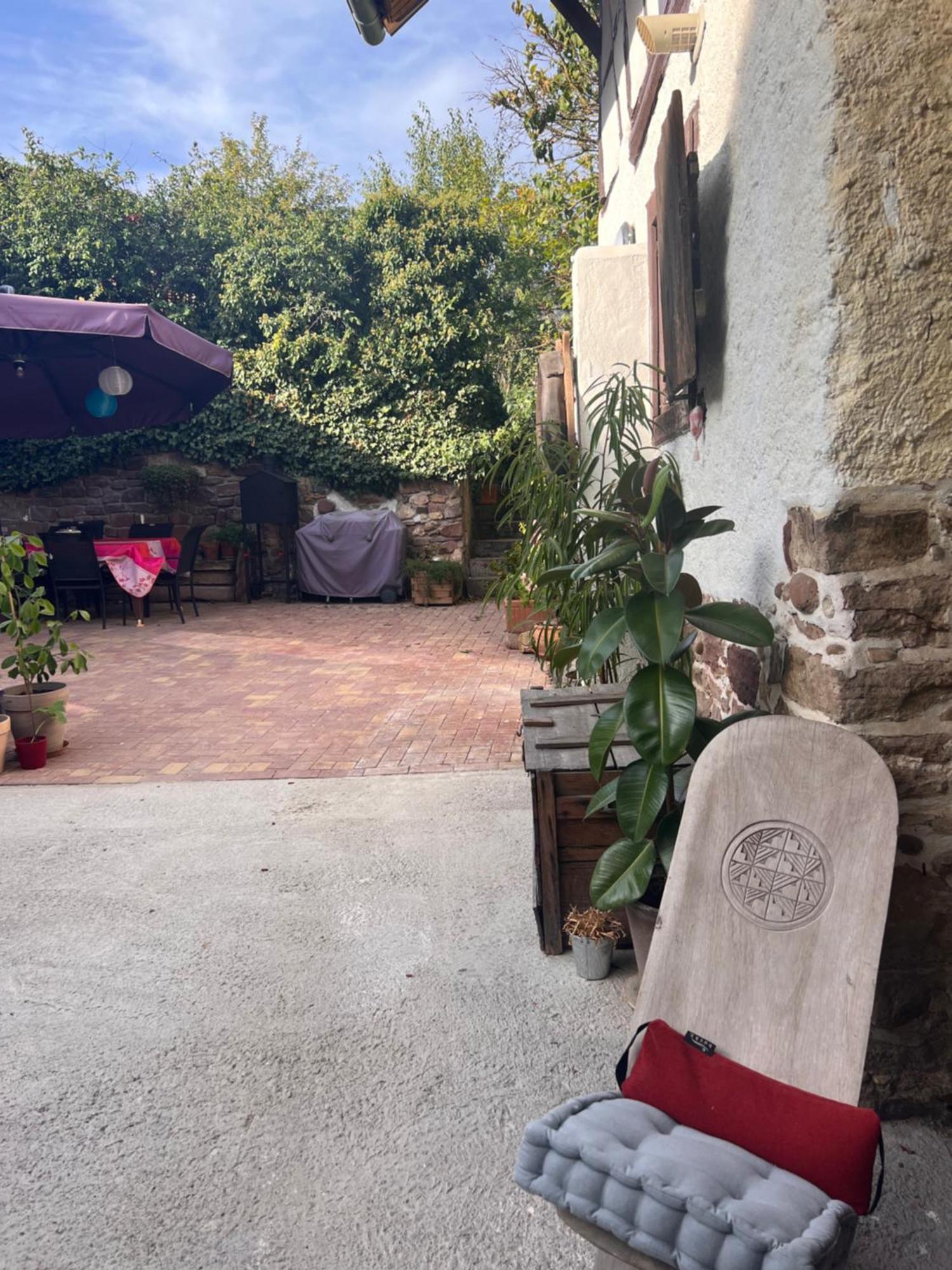 Studio Tout Confort 2 Personnes Au Coeur De L'Alsace Wolxheim Exterior foto